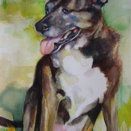 Pogi, Watercolor on Paper, 10" x 14", sold